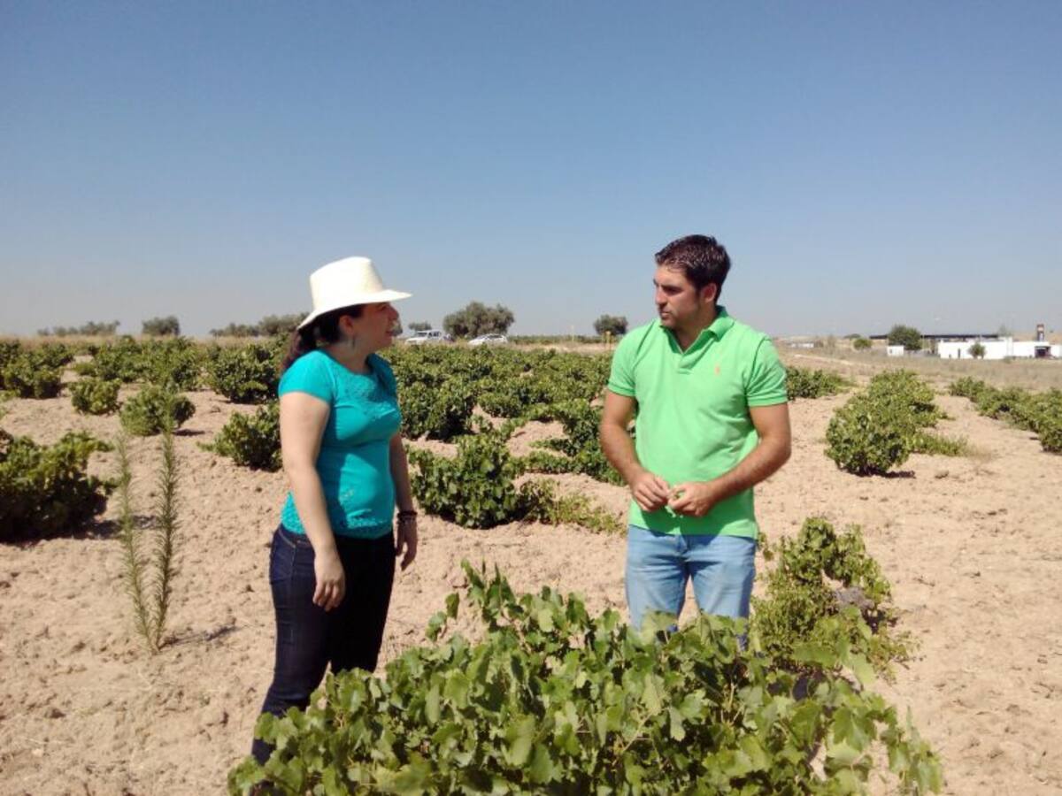 Los jóvenes vuelven a apostar por el campo