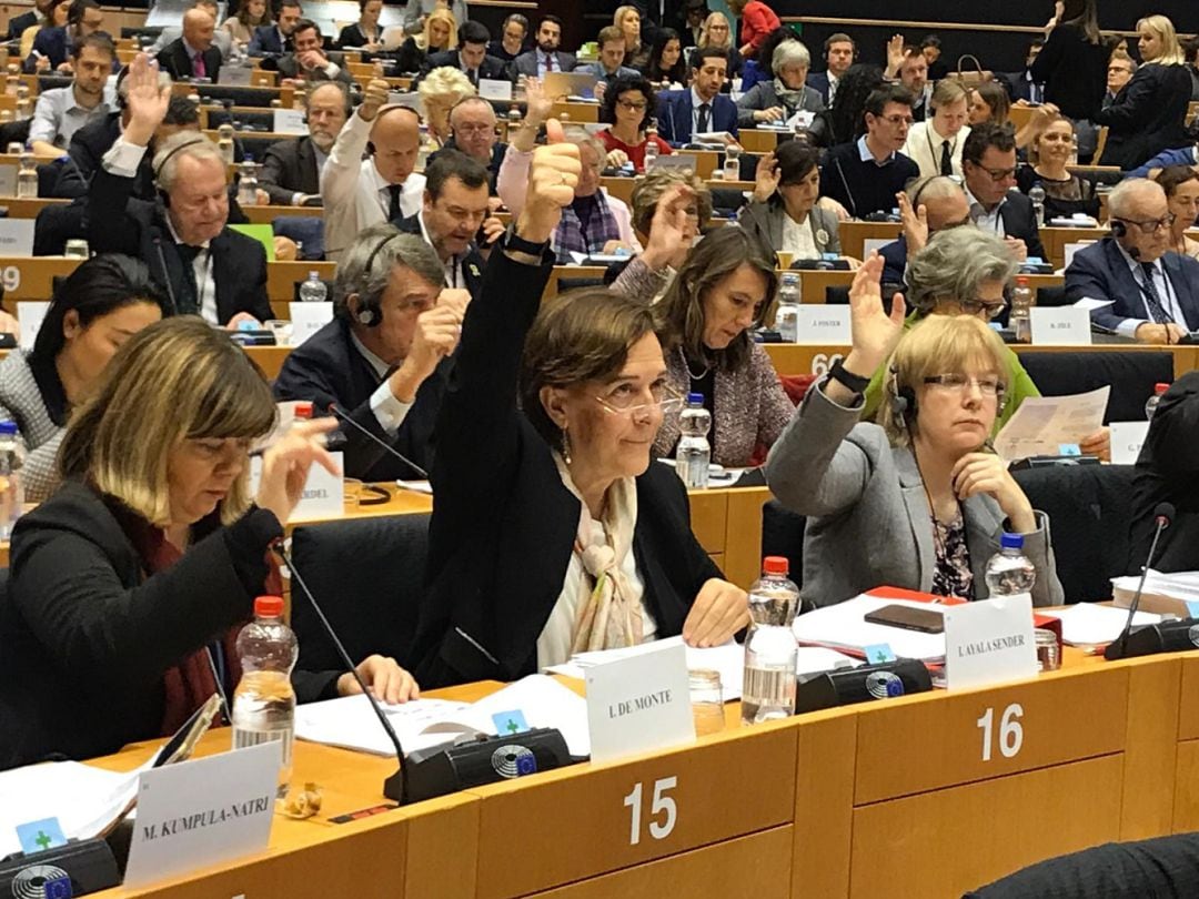 La europarlamentaria aragonesa, Inés Ayala, en la votación de la comisión de transporte 