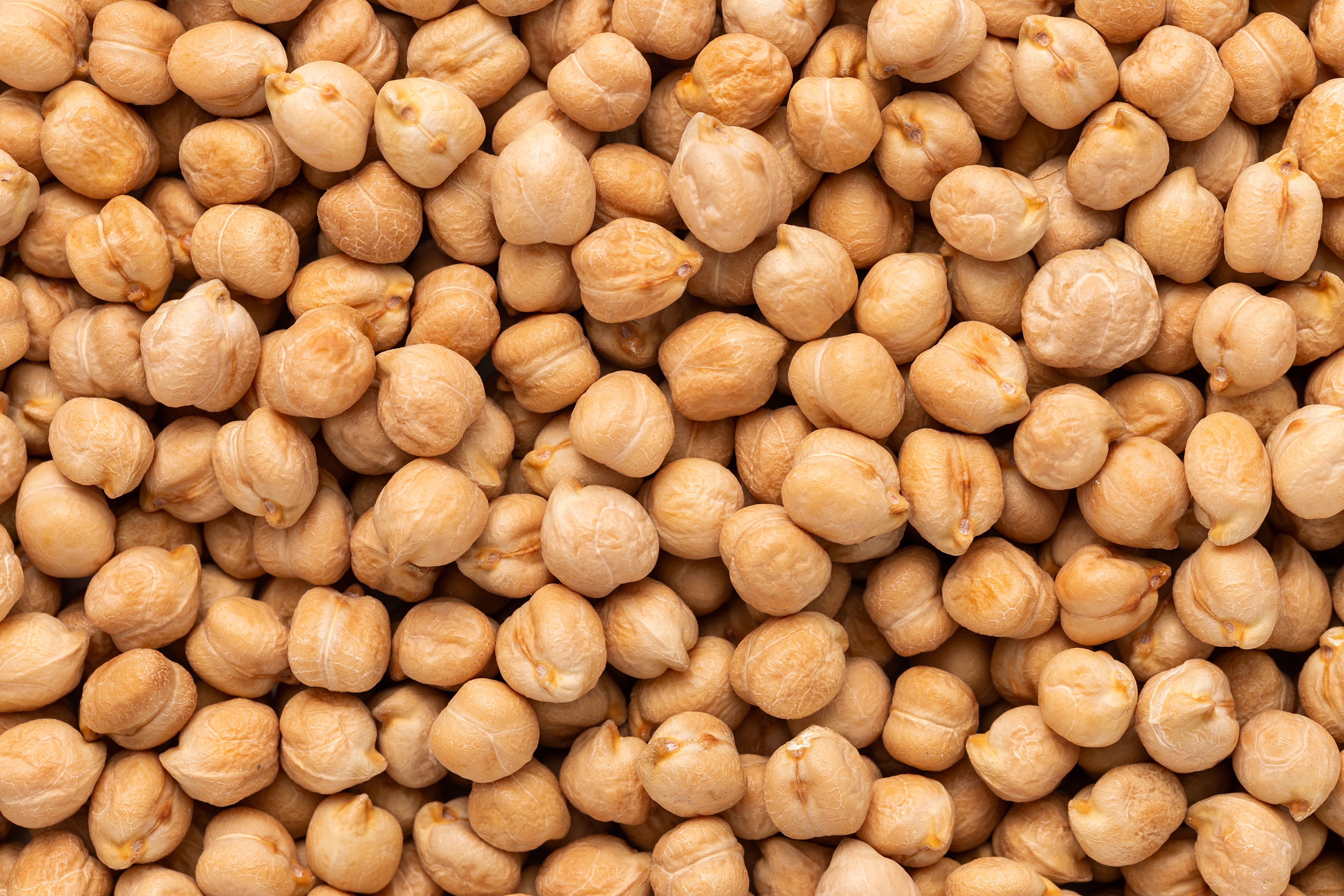 Background of chick-peas macro photo top view, full frame food background