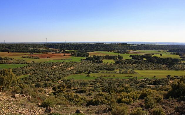 Paisaje desde el cerro de la Fuente de la Mota.