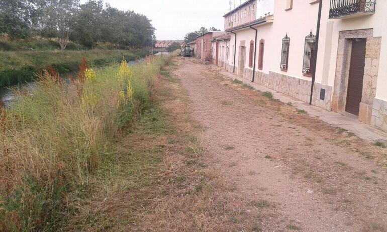 Se ha comenzado con la limpieza de los márgenes del canal de Castilla