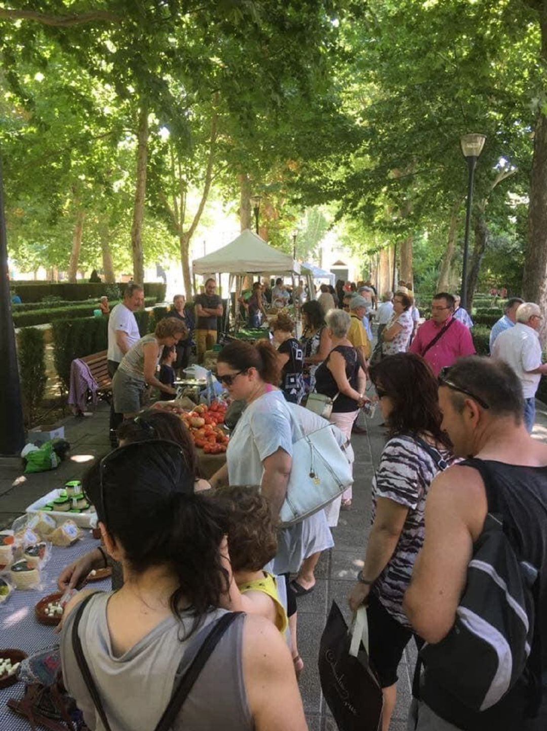 Mercado de productos de la comarca en el parque de Guadix.