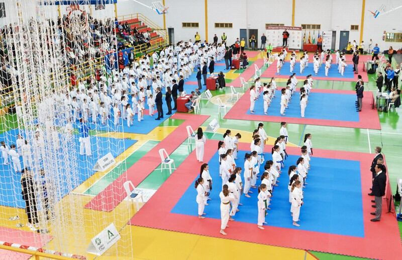 Pabellón Municipal César Velasco de Cabra.