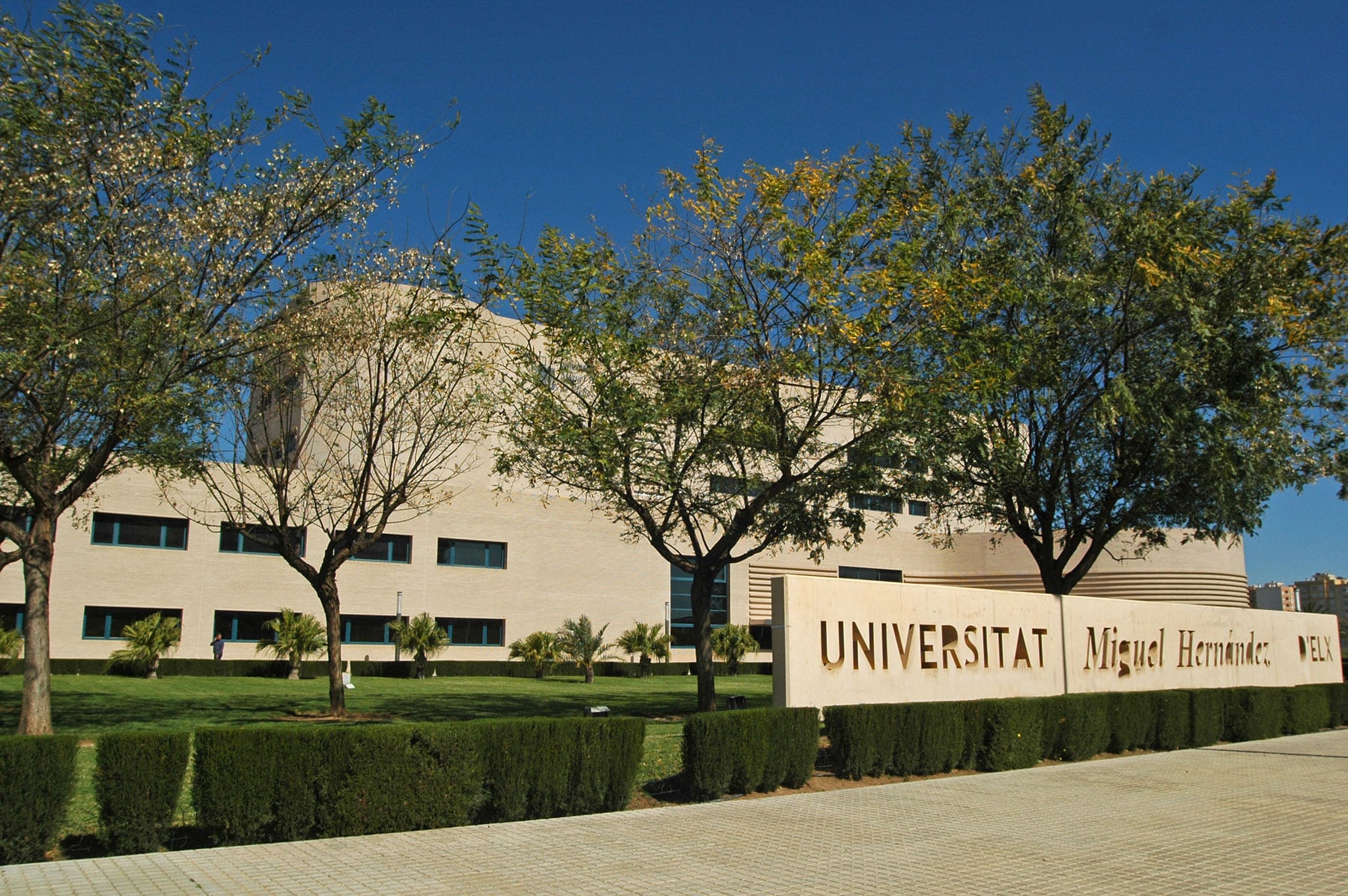 Universidad Miguel Hernández de Elche