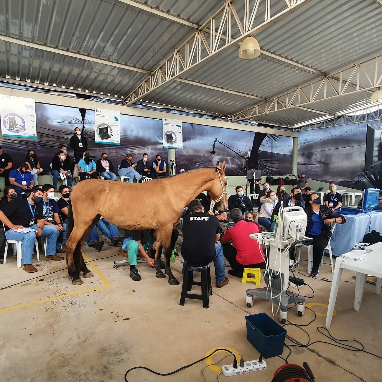 Huesca será sede de un importante congreso de veterinaria