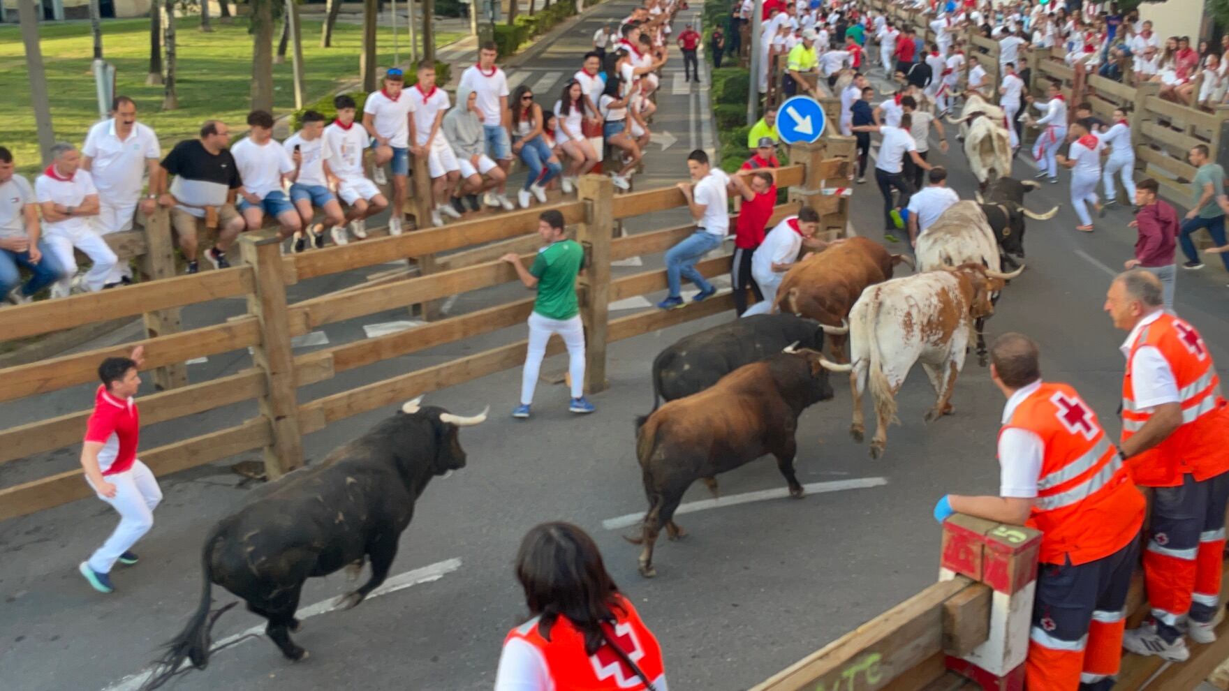 Primer encierro de las Fiestas de Tudela