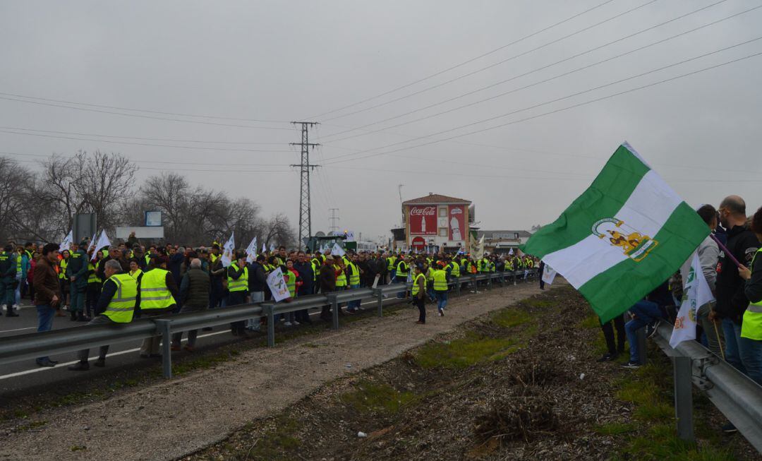 Protesta de los olivareros en la A-4 , a su paso por Andújar.