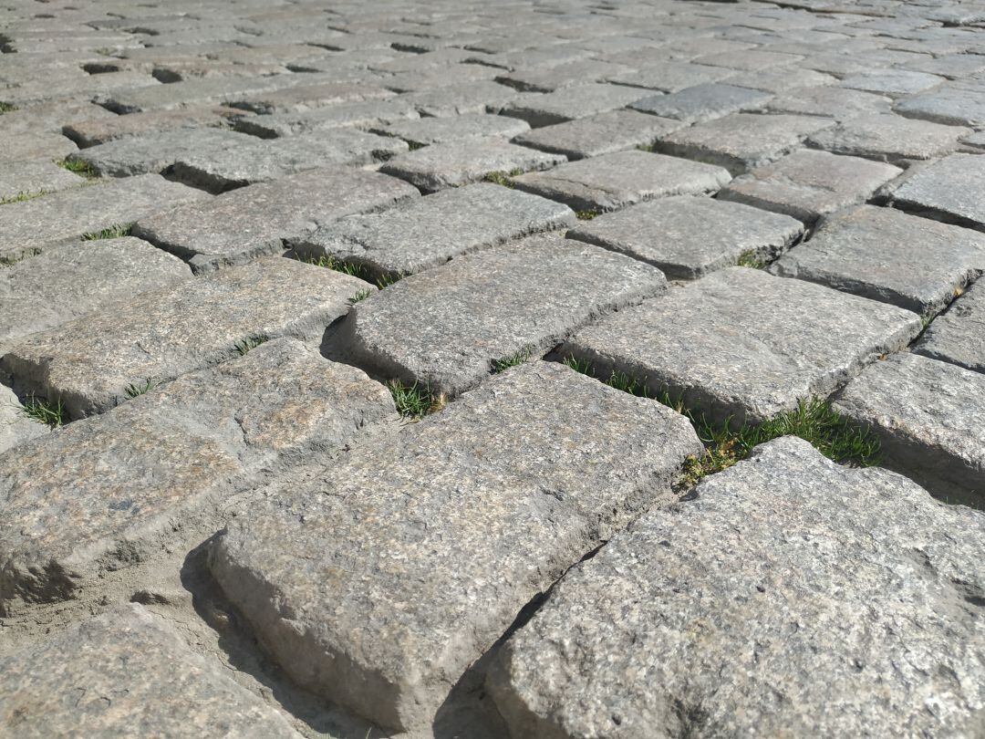 Adoquines de una calle de Jerez