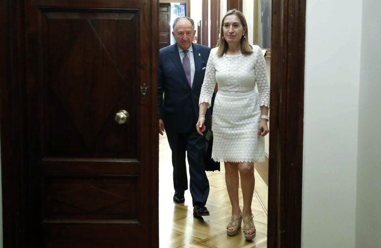 El director del Centro Nacional de Inteligencia, Felix Sanz Roldán, junto a la presidenta del Congreso, Ana Pastor.