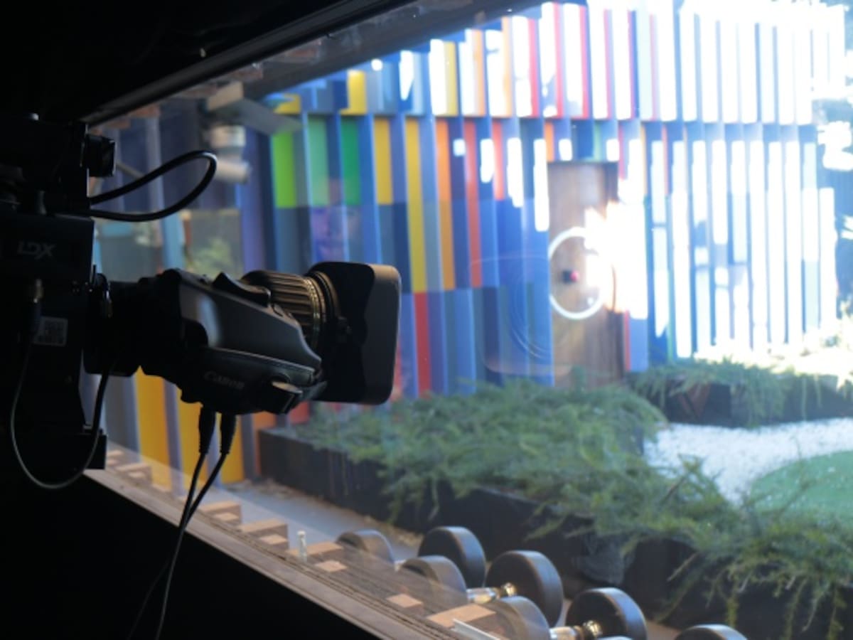 Diego San José: "La política, el reality más caro de la historia"