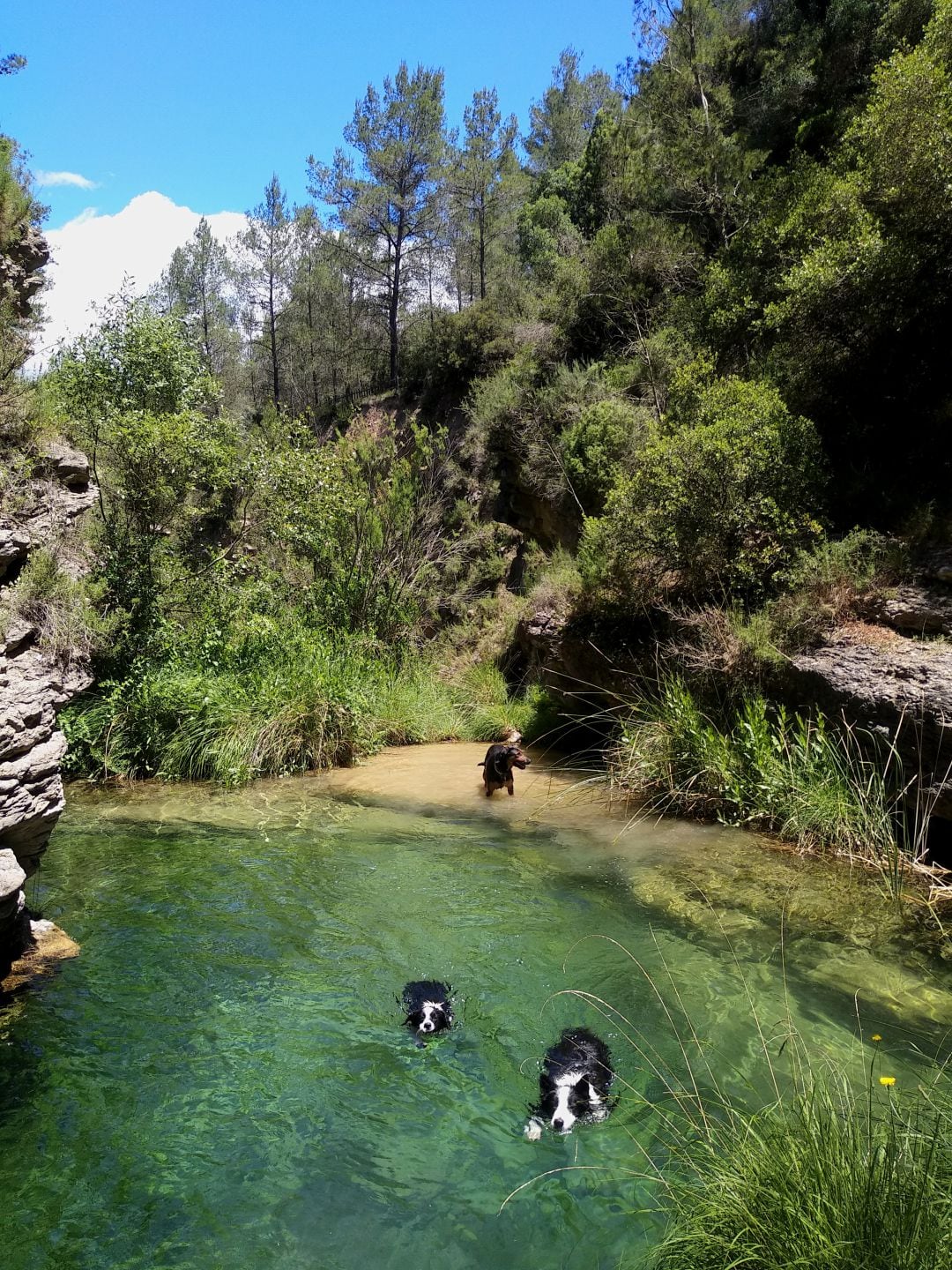 Los ríos son una de las mejores opciones para disfrutar del verano en la provincia de Castellón