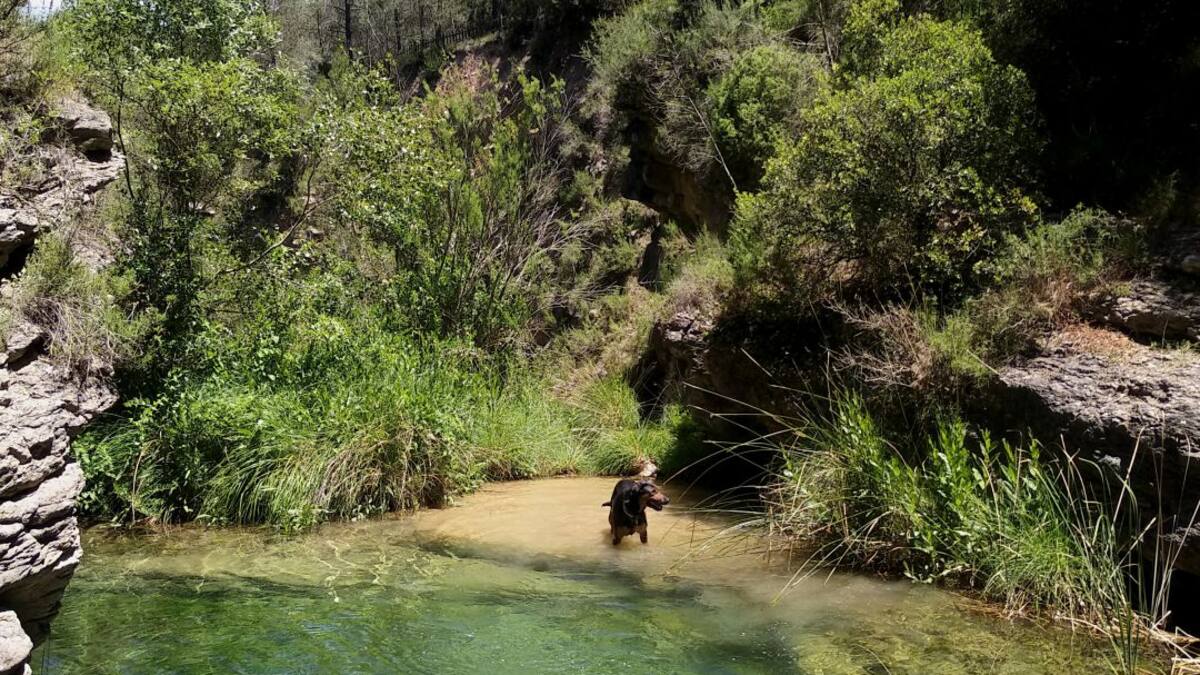 ¿Puedo bañarme en cualquier parte del río o en un embalse de Castellón?,¿y navegar?