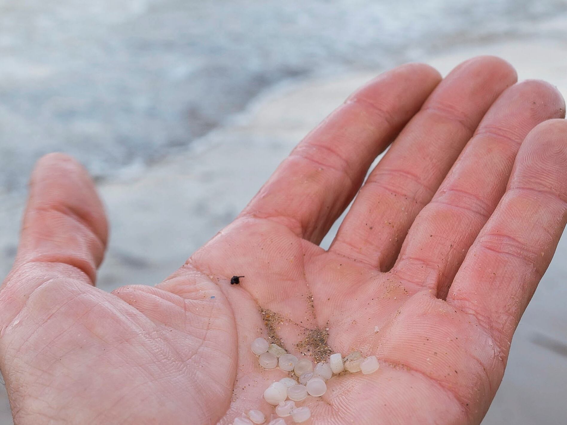 Un hombre recoge los pellets de plástico acumulados en la playa de La Virgen del Mar, en Santander