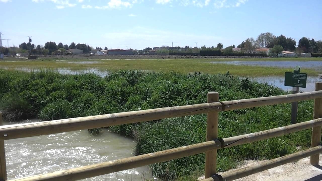 Canal de María Cristina