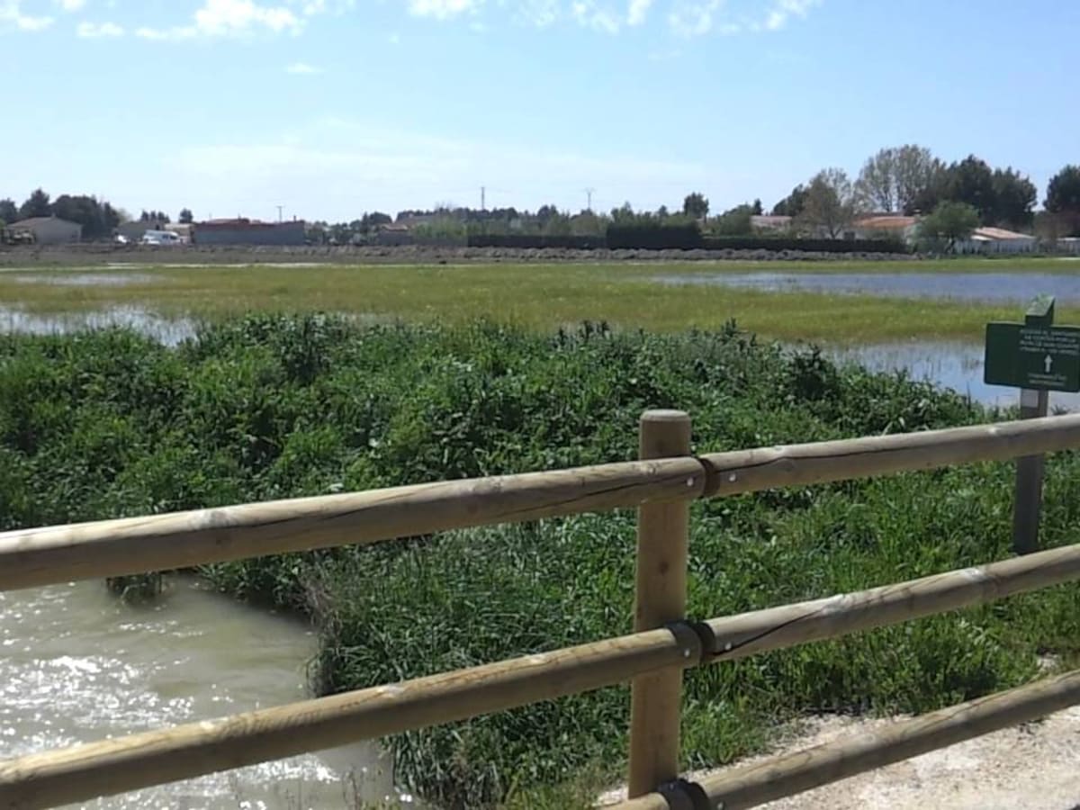 Un plan en dos fases busca reducir el riesgo de inundaciones en Albacete