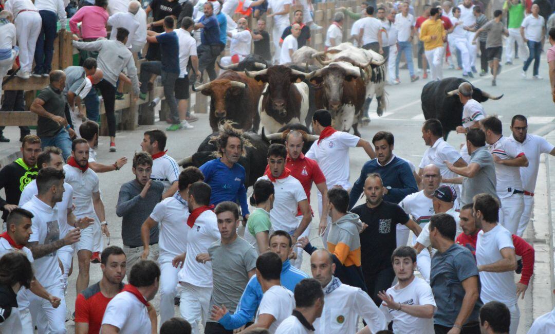 Primer encierro fiestas Tafalla 2019