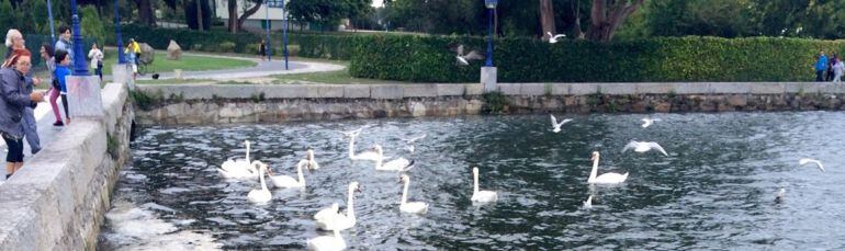 Paseo de la Ría de O Burgo