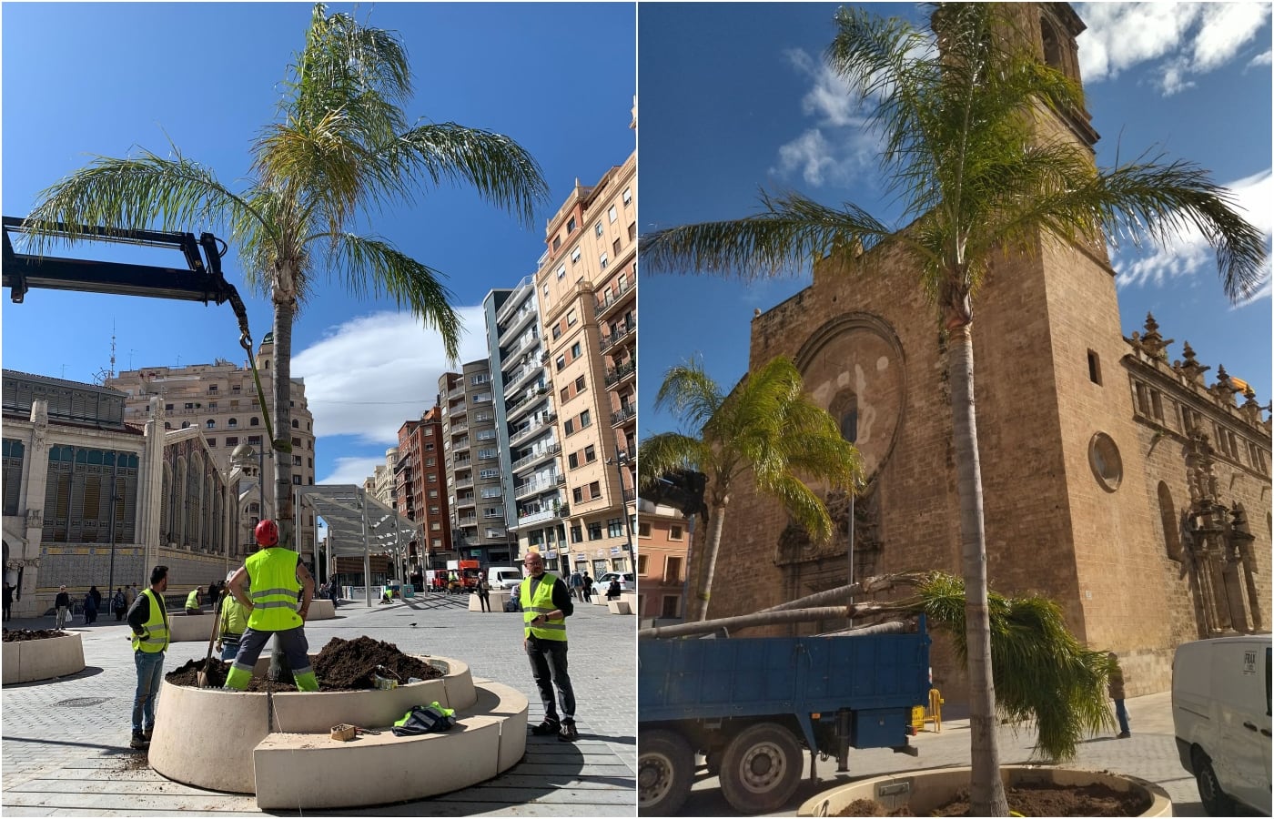 Plantación de palmeras en la plaza Ciudad de Brujas de València