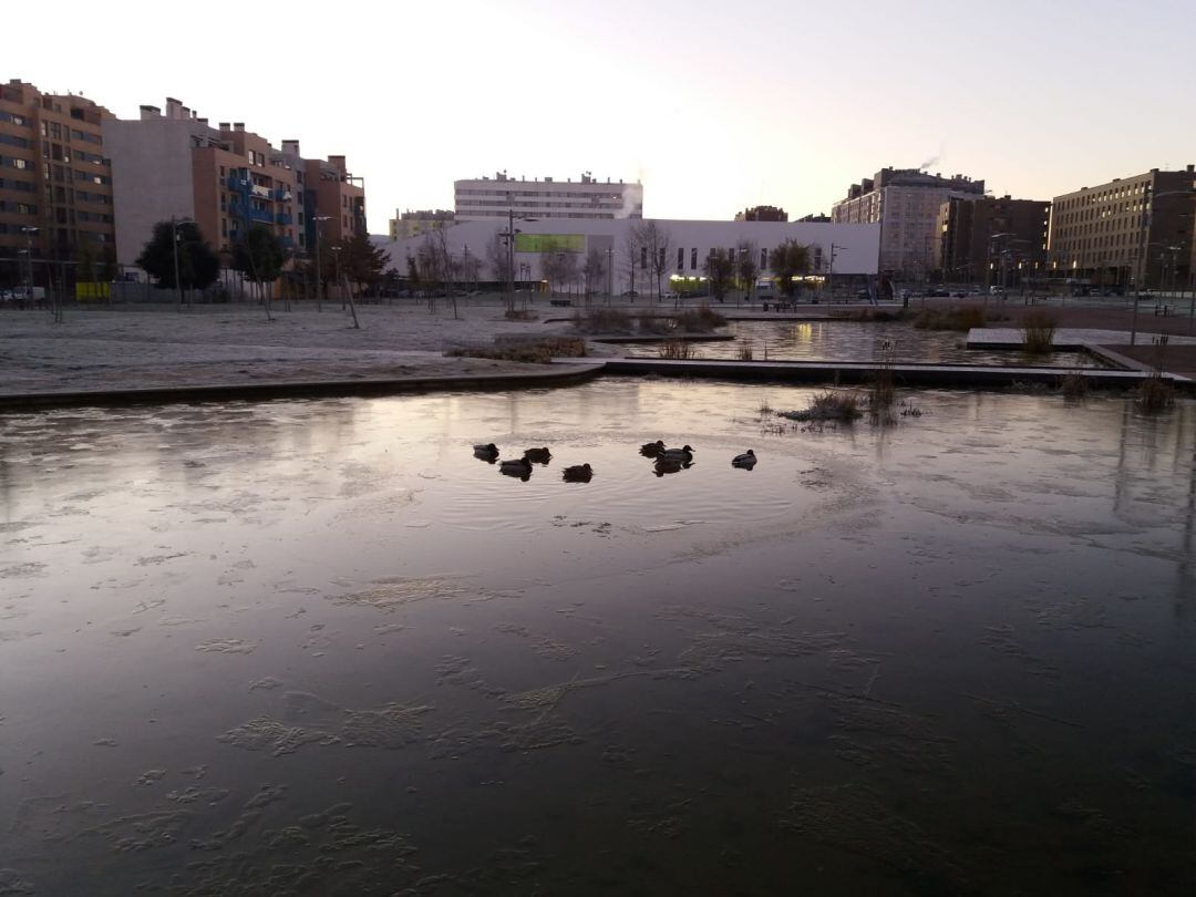 El estanque de Salburua en Vitoria ha amanecido parcialmente helado