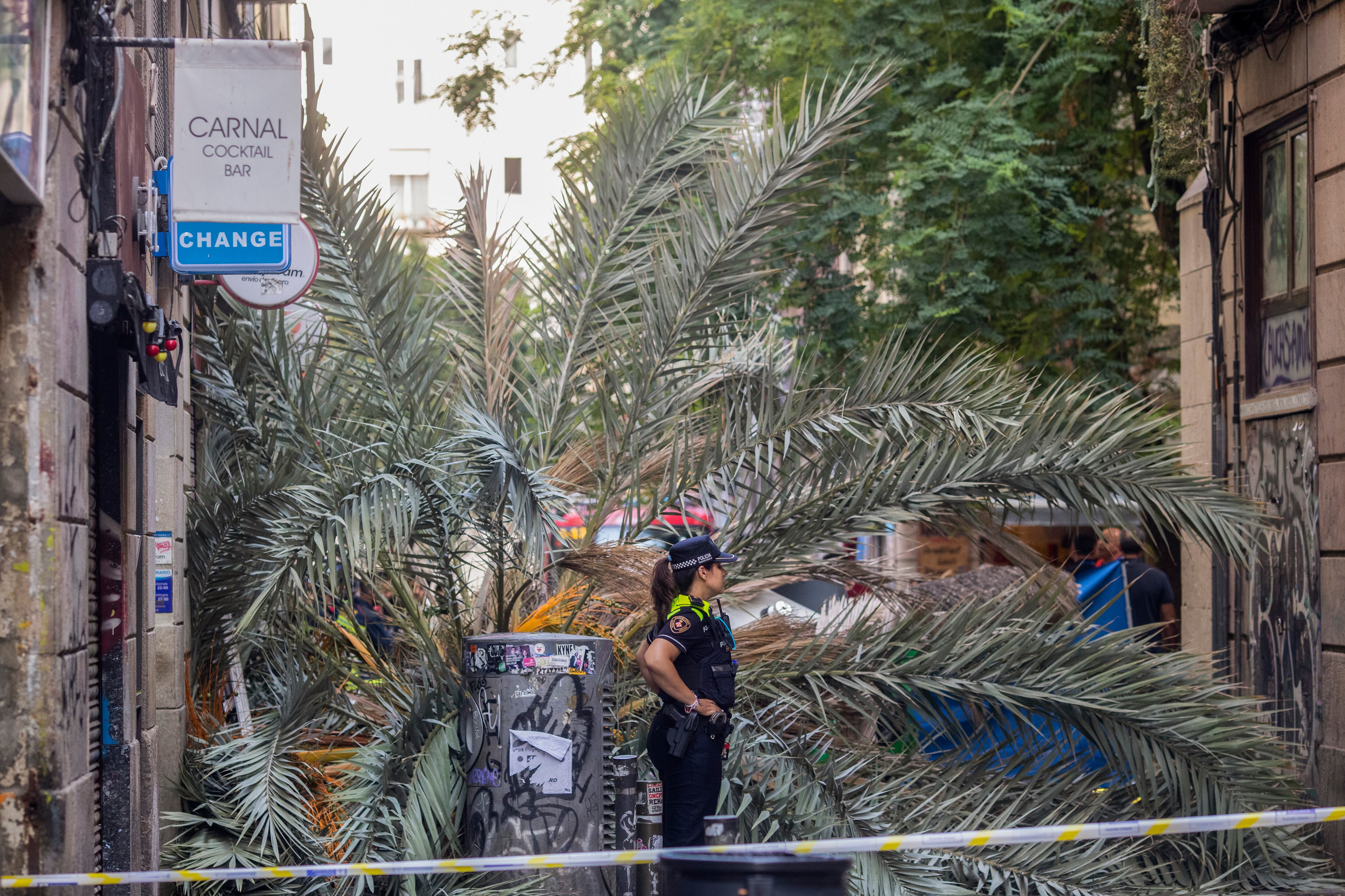 BARCELONA, 03/08/2023.- Una joven de 20 años ha muerto hoy jueves al caerle encima una palmera en el barrio de Ciutat Vella de Barcelona, ante lo que el Ayuntamiento de la capital catalana ha encargado un estudio de urgencia para aclarar las causas de este accidente. EFE/Marta Pérez
