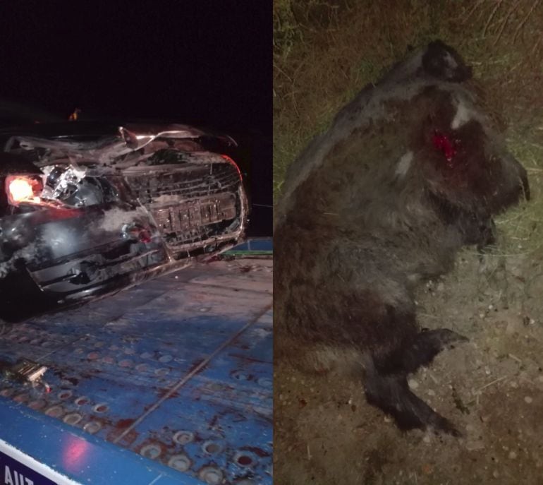 Un accidente provocado por un animal