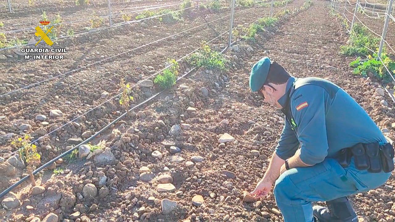 Investigado un vecino de Aldeanueva de Ebro por dañar un yacimiento arqueológico