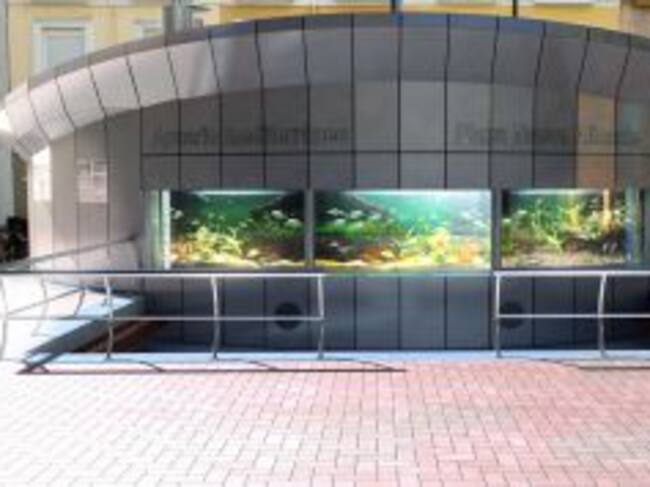 Fotogalería | Recreación virtual del acuario de la Plaza Nueva de Alicante