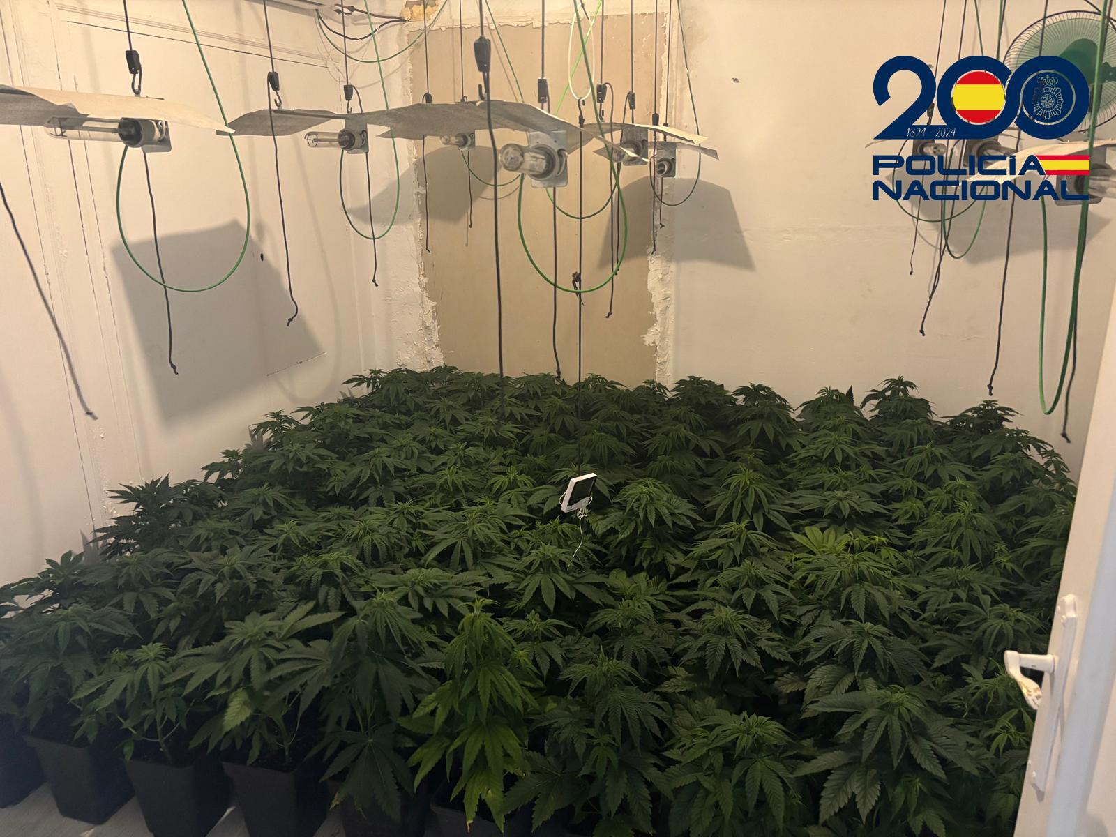 Operación policial en Linares.