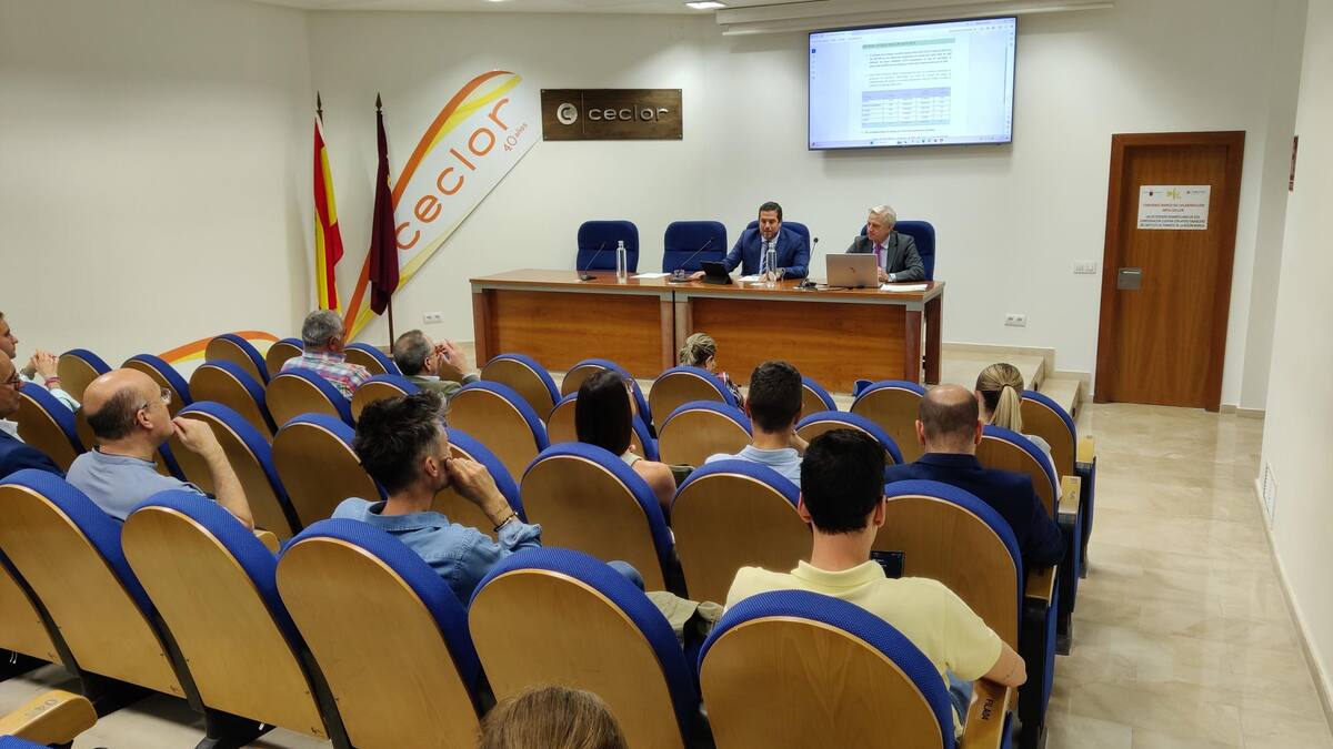 Más de treinta proyectos optan para conseguir ayudas en negocios del Casco Histórico de Lorca