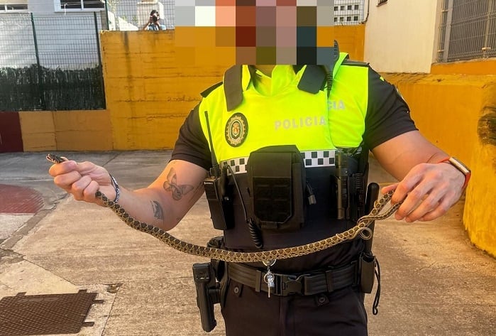 Un agente junto a la serpiente rescatada