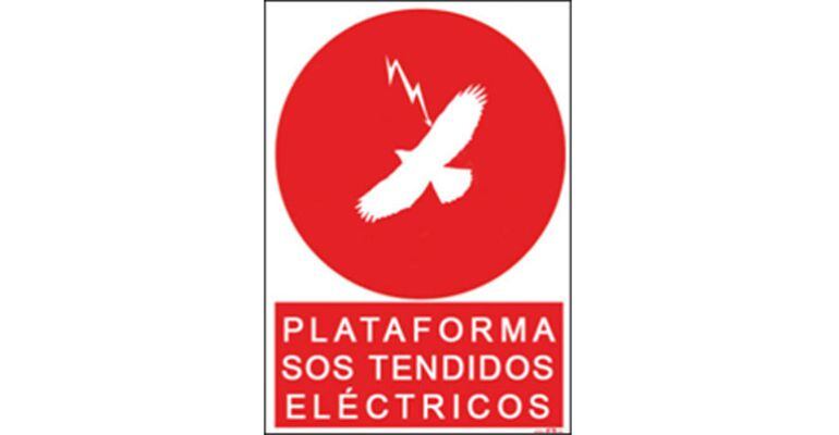 Cartel de presentación de la plataforma