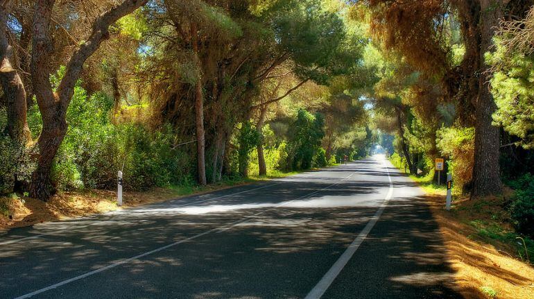 Carretera de El Saler- Palmar