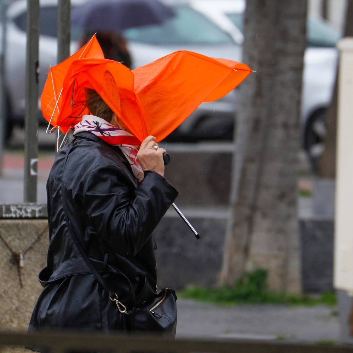 La borrasca ‘Joseph’ deja una treintena de incidencias en la provincia de Jaén