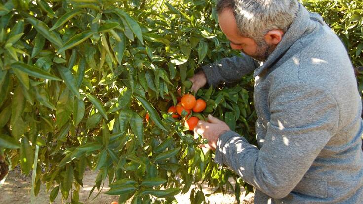 La Llavor (21/12/2024)