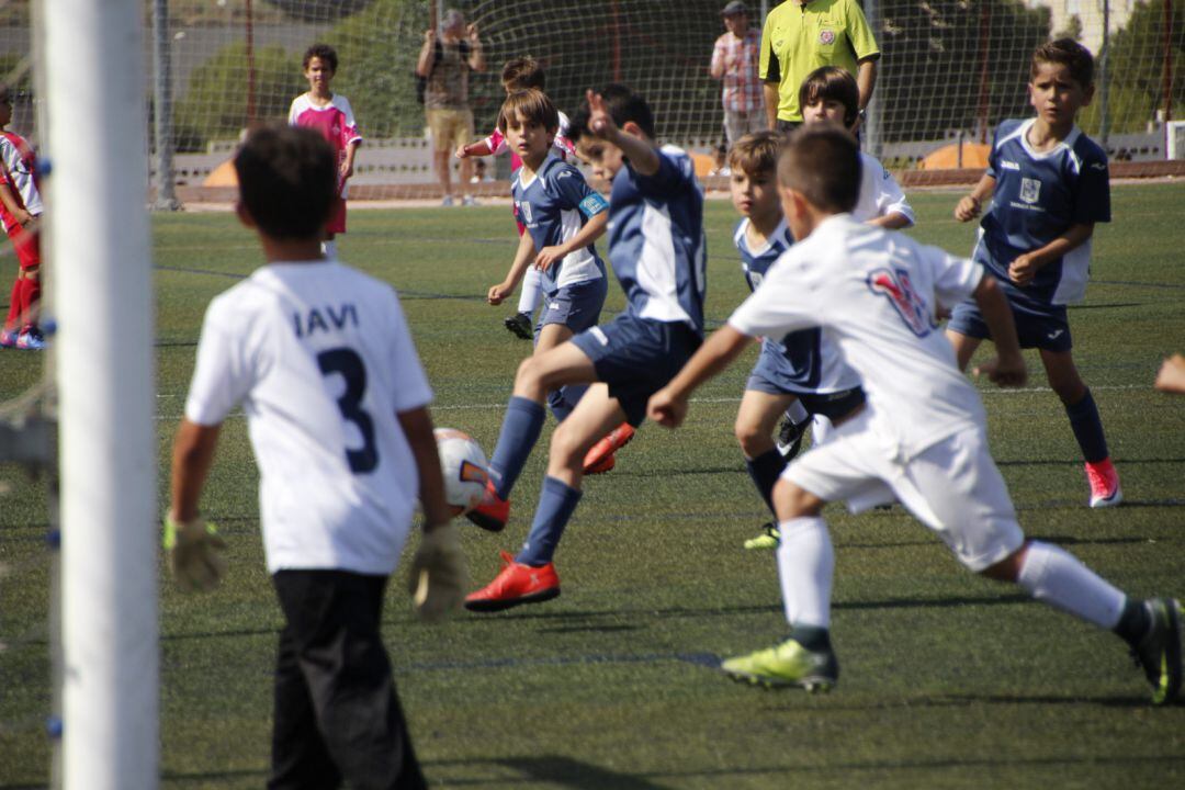 La FFCV se cura en salud y paraliza las competiciones hasta el 31 de enero