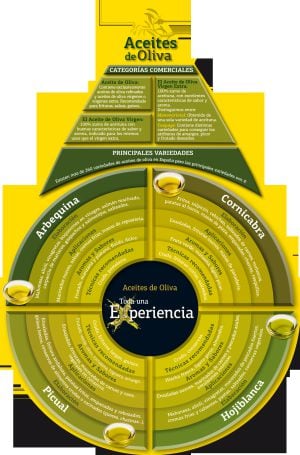 Características de las cuatro variedades más frecuentes en España.