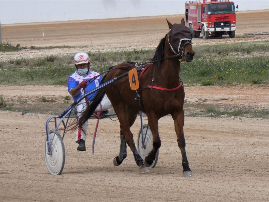 Ut d&#039;Ylea, vencedor de la carrera estelar