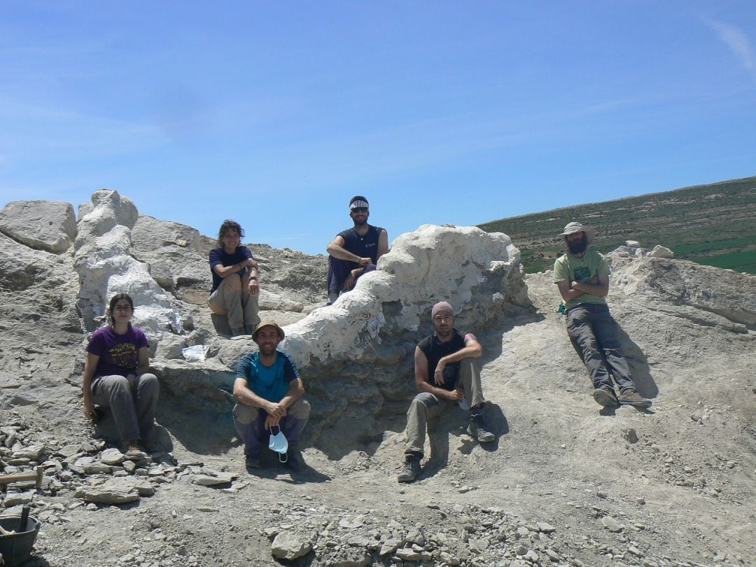 Paleontólogos, tras la excavación de la serie vertebral articulada, una vez protegida con yeso (Foto: Diego Castanera)