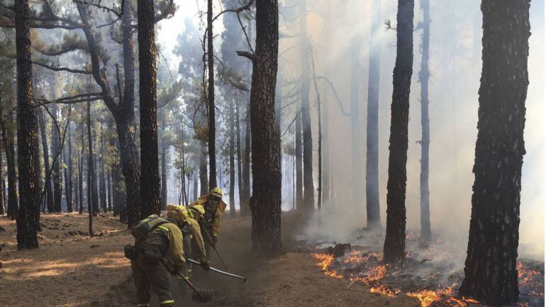 Operarios de las brigadas de extinción luchando contra las llamas en La Palma. 