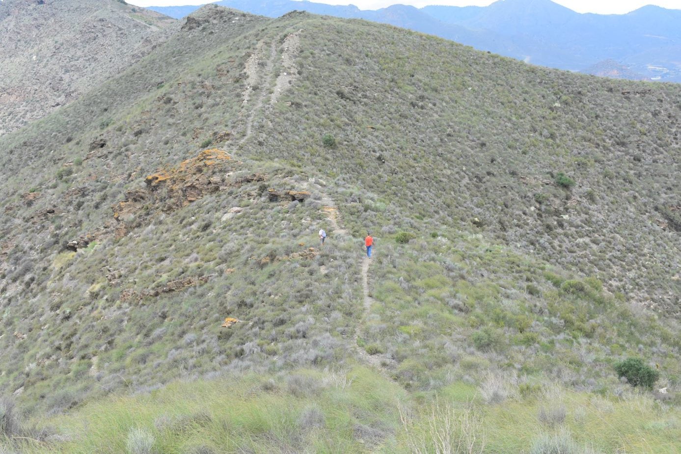 En esta séptima entrega de Cuaderno de Campo vamos a poner nuestros pies en las inmediaciones del único Parque Natural que alberga el 
territorio lorquino, Calnegre y Cabo de Cope