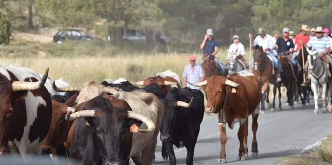 Encierro por Vereda en Moratalla