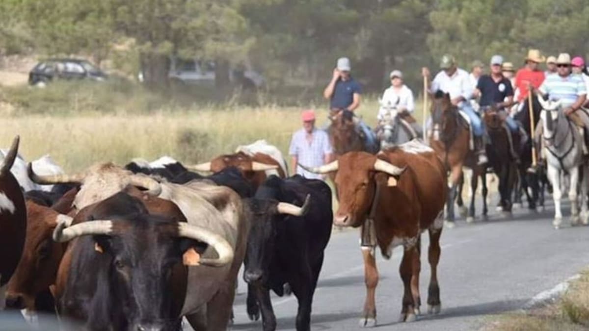 Moratalla suspende las Fiestas del Santísimo Cristo del Rayo