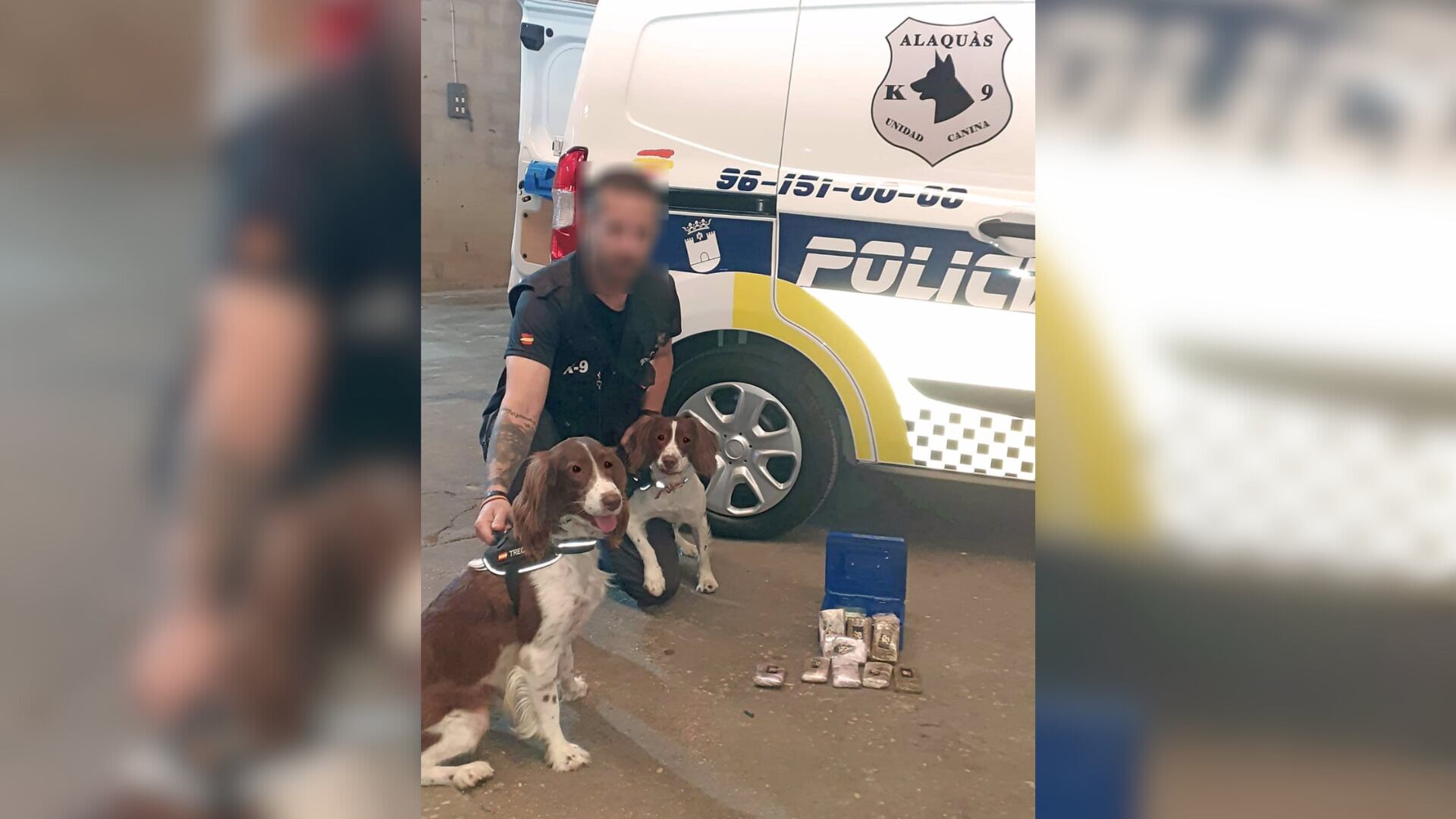 Un perro detecta droga valorada en 10.000 euros en Alaquàs