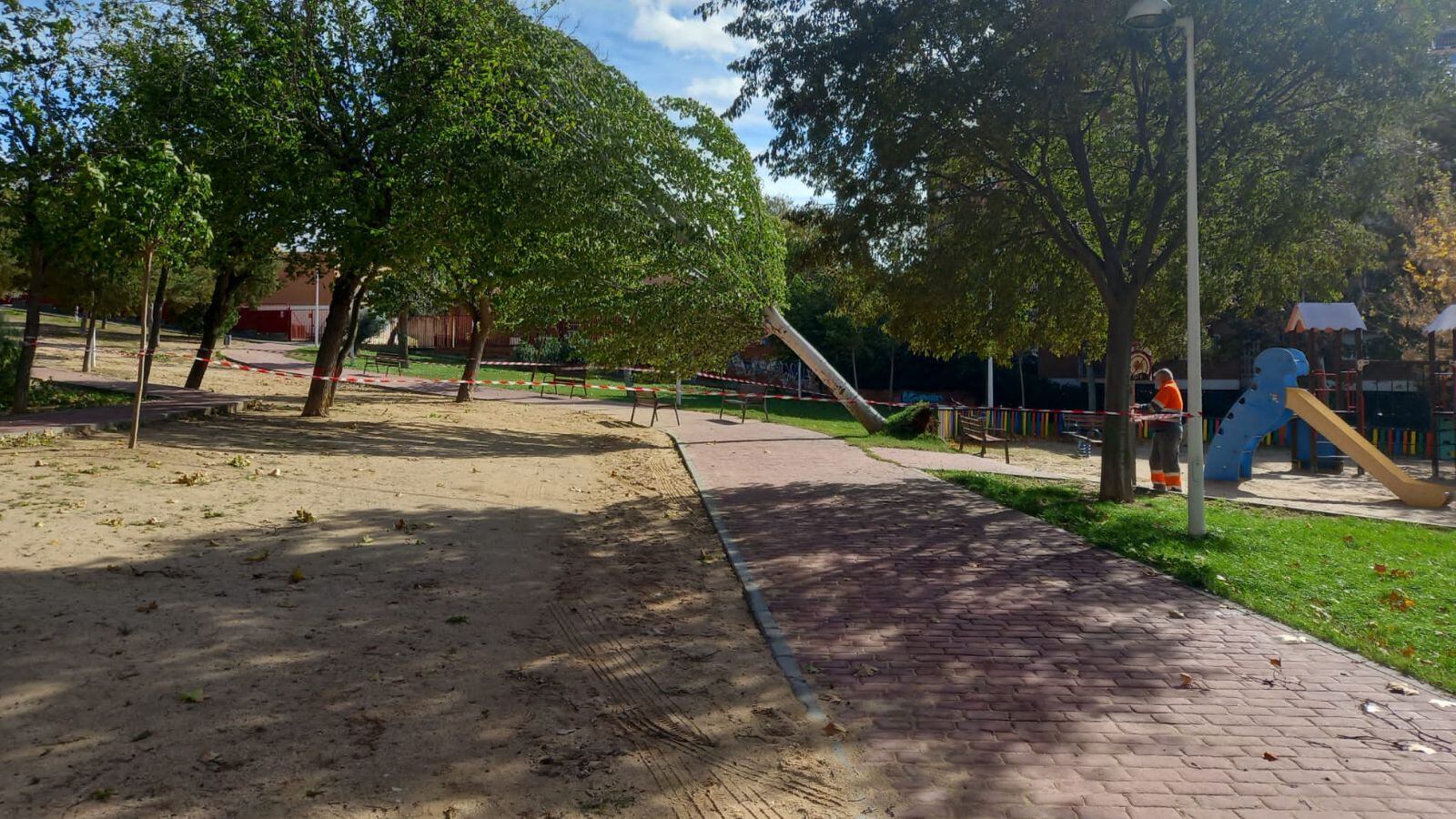 Imagen de uno de los árboles caído junto al Colegio Garcilaso de la Vega de Toledo