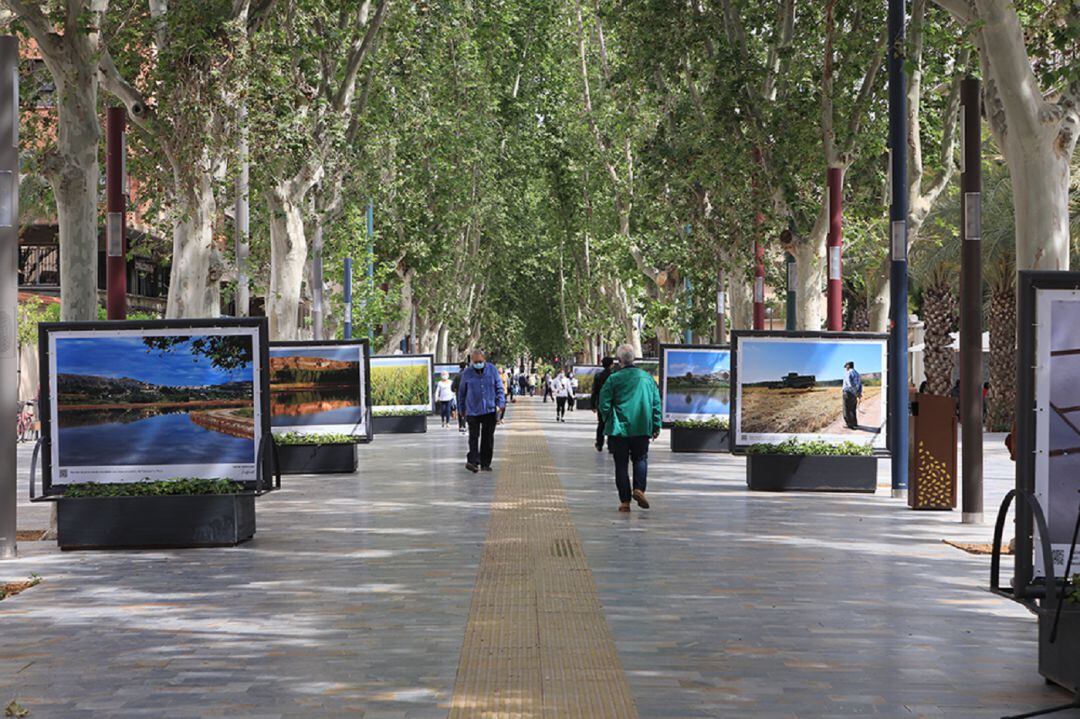 &#039;Entre arrozales&#039; se puede contemplar en el paseo Alfonso X El Sabio (Murcia) hasta principios de junio