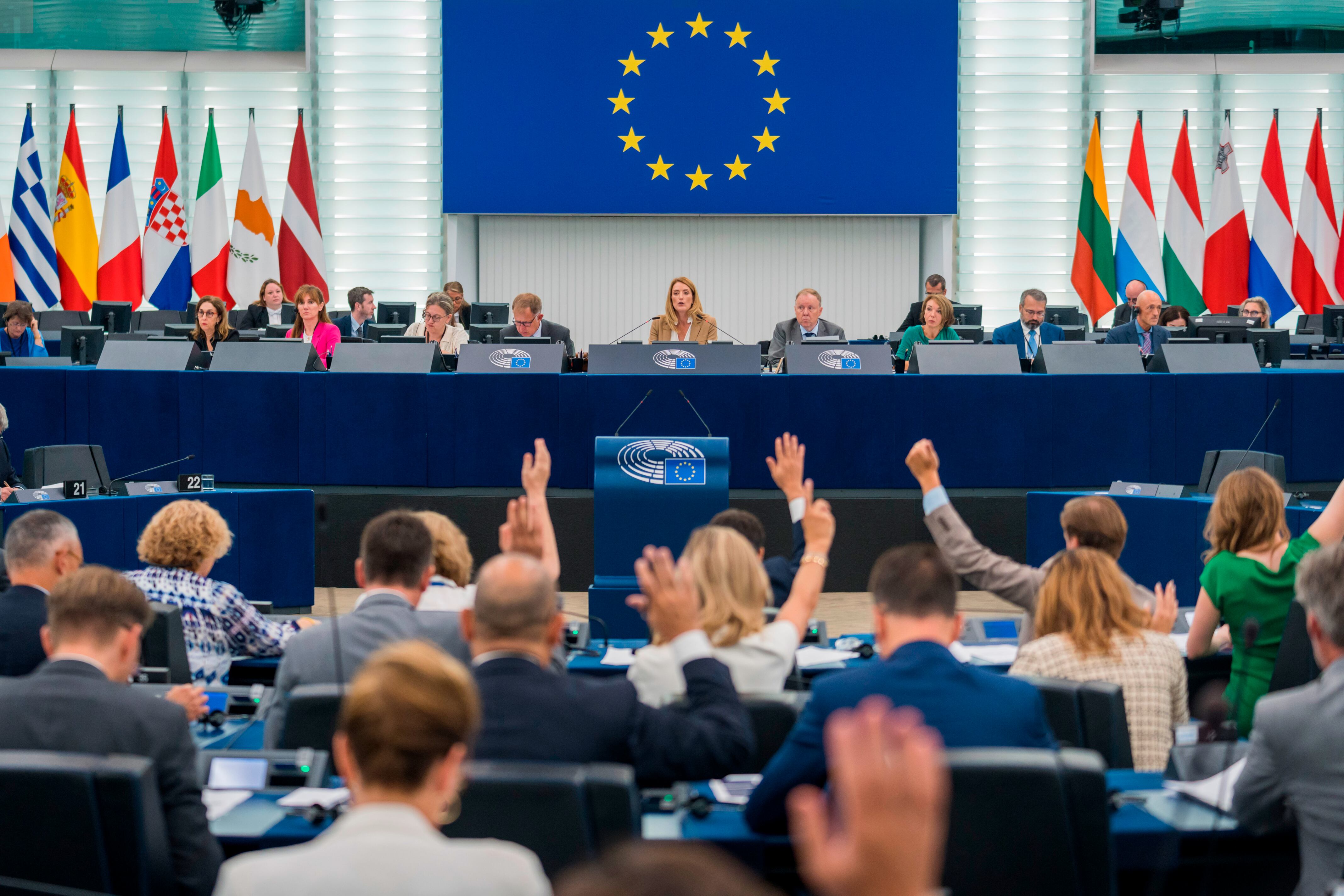 Votació al plenari del Parlament Europeu