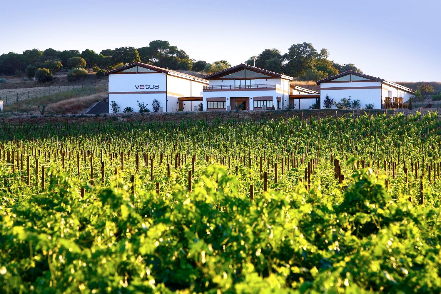 Bodegas Vetus (Toro).