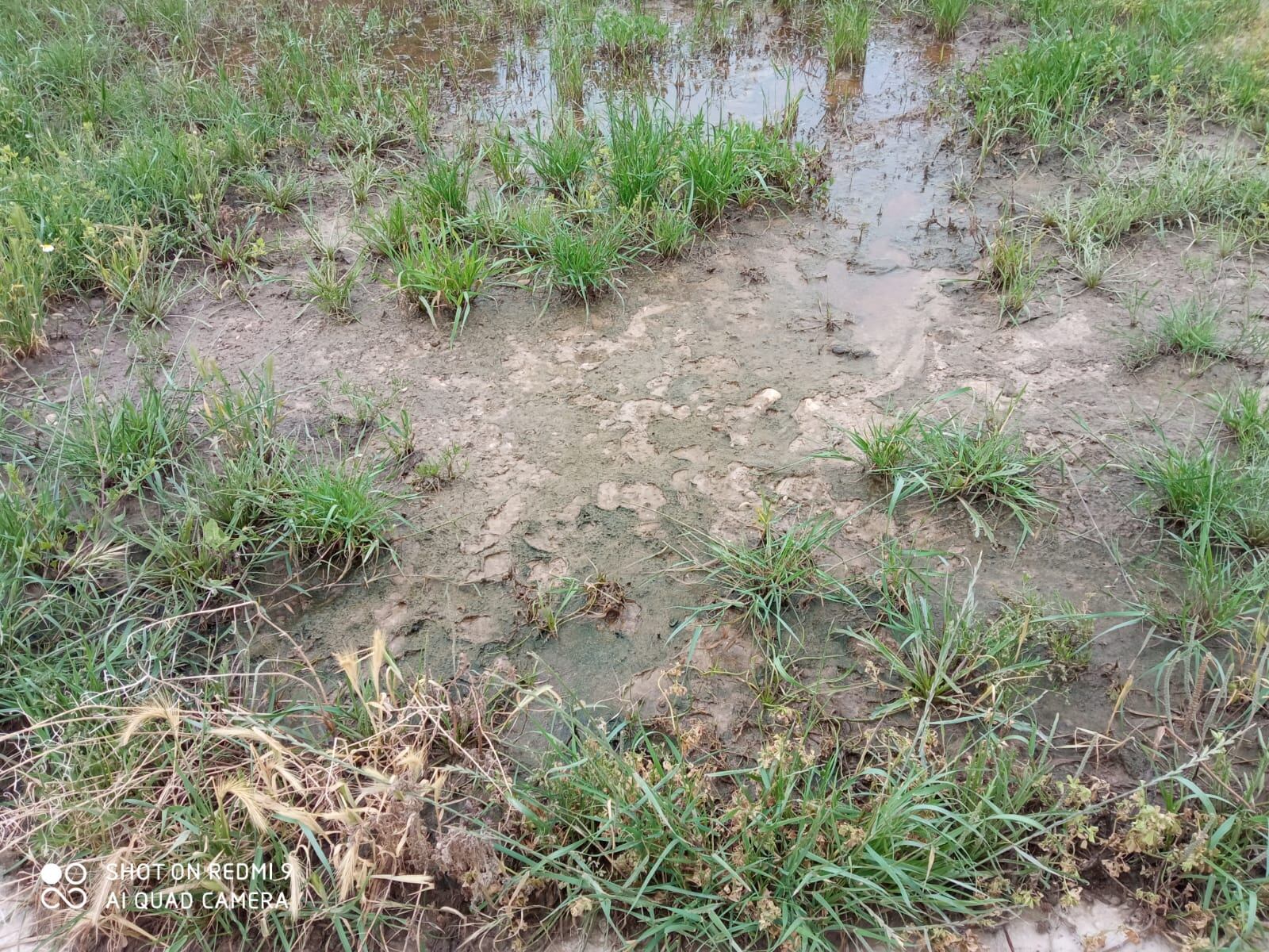 Cauce del Río Guadalentín de Lorca