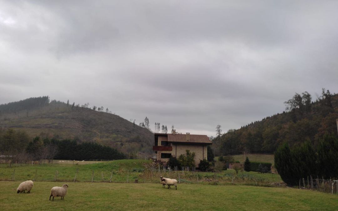 Cielos nubosos y precipitaciones predominarán este domingo en la mitad norte peninsular.