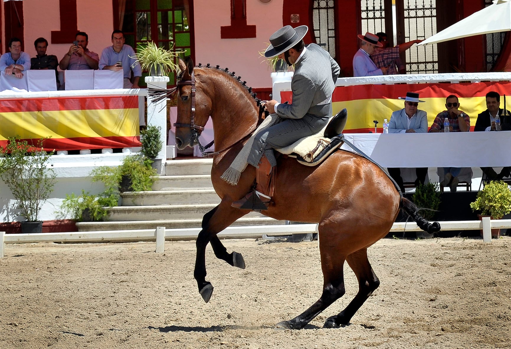 Celebrado en Jerez el Concurso de Doma vaquera